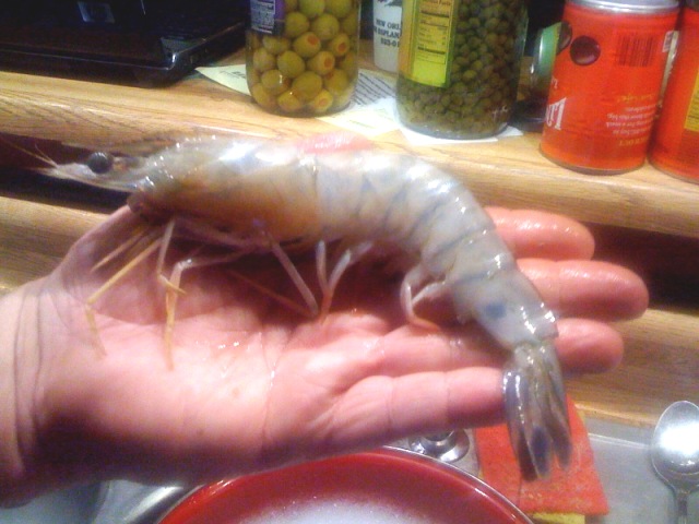 Click on Shrimp and size to you hand! WOW!!
