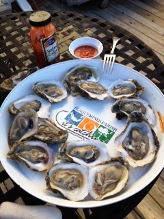 Raw Oysters on the Half Shell