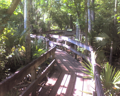 Bayou Coquille Trail, Barataria Preserve, Jean Lafitte