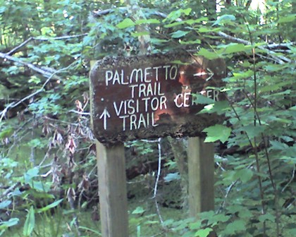 Palmetto Trail Intersection