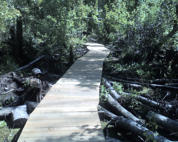 Rebuilt Walkway, Ring Levee Trail, Barataria Preserve, Jean Lafitte National Park
