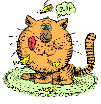 Burp Cat