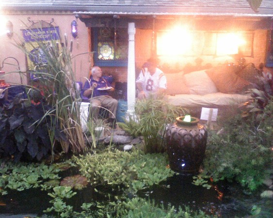 Bob's Back Yard