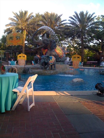 Elephant Pool