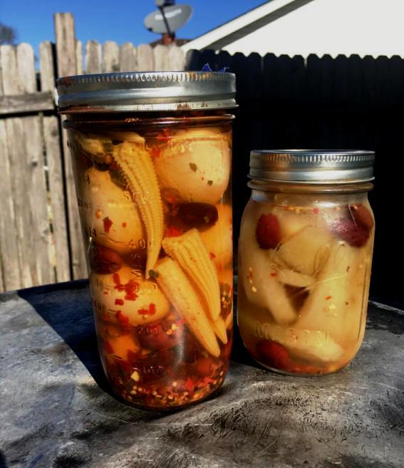 Pickled Mirliton Sticks Recipe