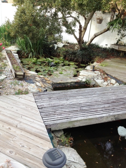 Upper pond view, February 2012