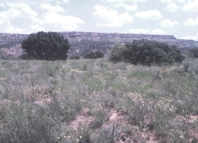 Fortress Cliff, Palo Duro