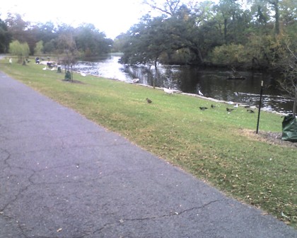 Audubon Park Walking Path