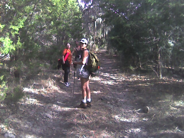 Hanging Spanish moss Government Canyon