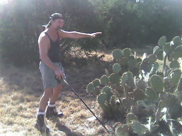 Pear Cactus Government Canyon