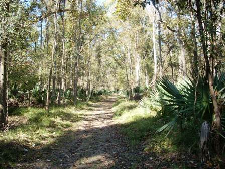 Plantation Trail Loop A, Northwest