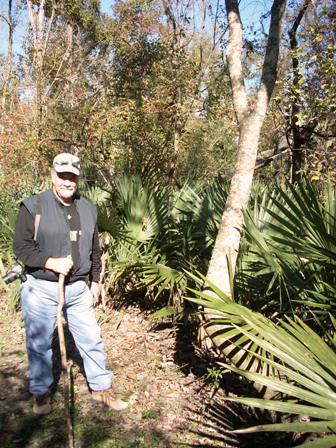 This is the tree that we found the snake and frog.