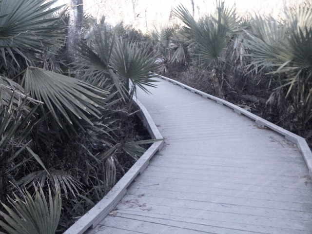 Note, trail decking!