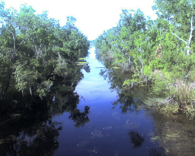 Kenta Canal Trail, Barataria Preserve, Jean Lafitte National Historical Park