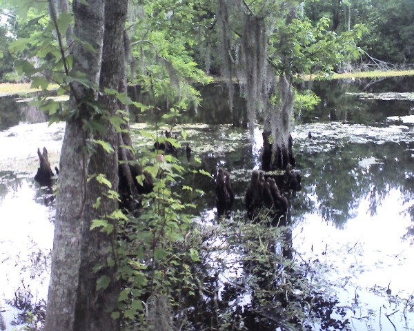 Twin Canal Trail 