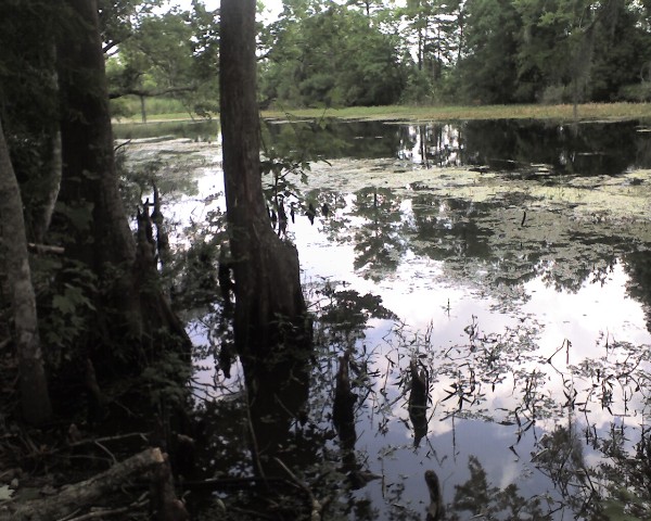 Twin Canal Trail 