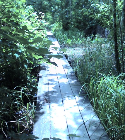 Twin Canal Trail