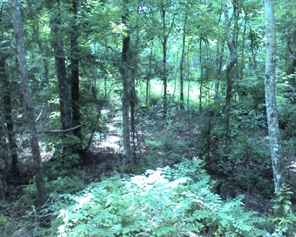 Twin Canal Trail 