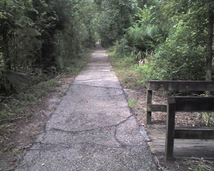 Bayou Coquille Trail, Jean Lafitte Barataria Preserve