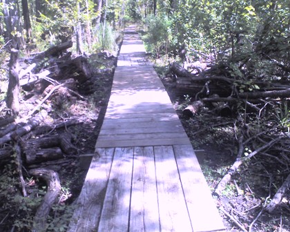 Ring Levee Trail, Barataria Preserve, Jean Lafitte National Park