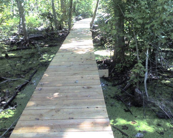 Ring Levee Trail, Barataria Preserve, Jean Lafitte National Park