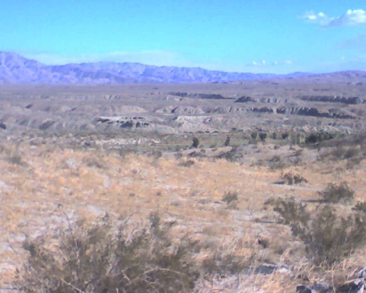 Ridge View Thousand Palms, Wilhelm and McCallum Oasis Palm Springs