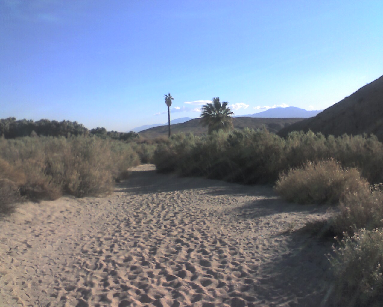 Ridge View Thousand Palms, Wilhelm Oasis Palm Springs