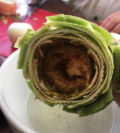 Artichoke cleaned and ready for stuffing crown.